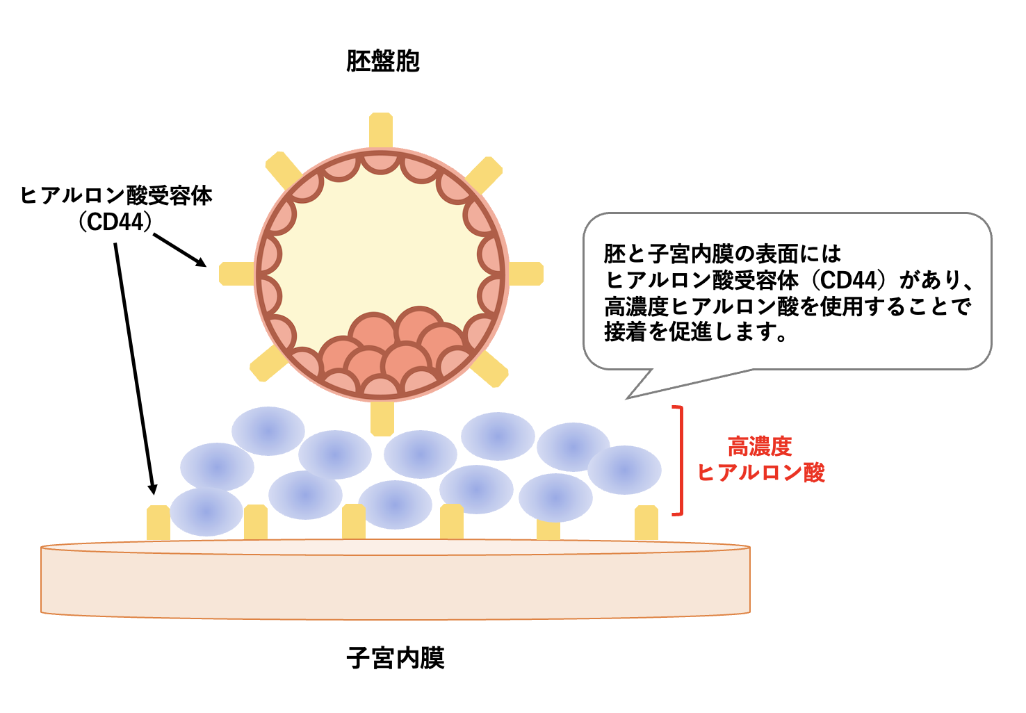液相流動床　基礎と応用 単結晶育成方法 - 丸山研究室 | 丸山研究室